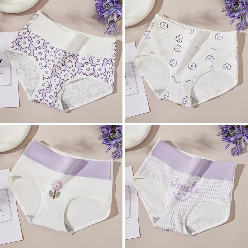 Set 4 mutandine vita alta