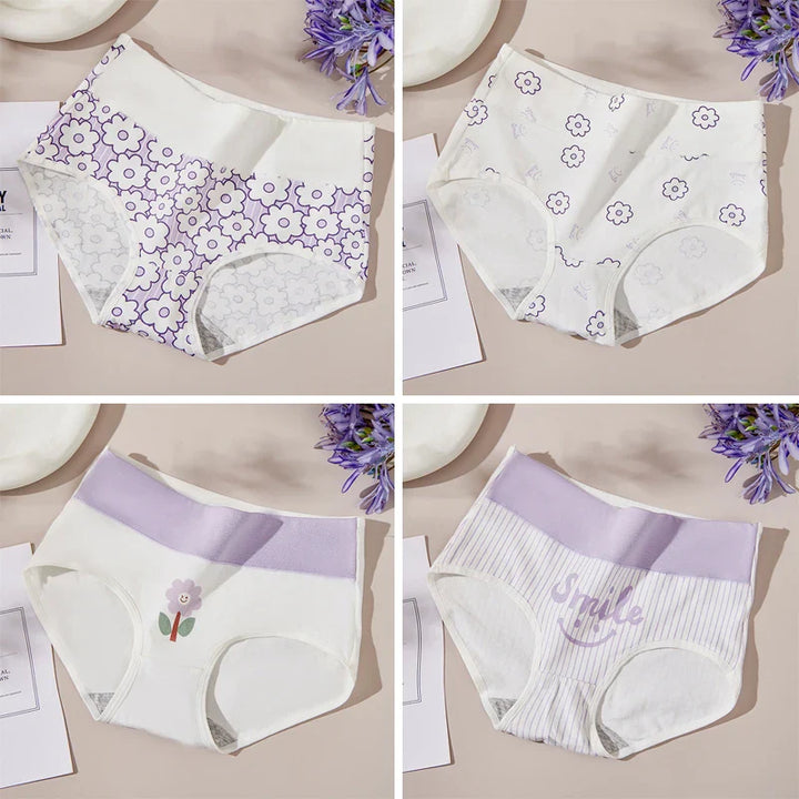 Set 4 mutandine vita alta