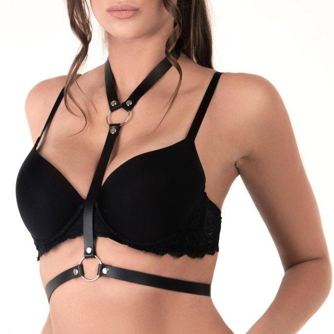 Harness