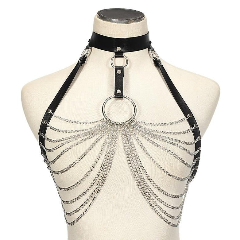 Harness