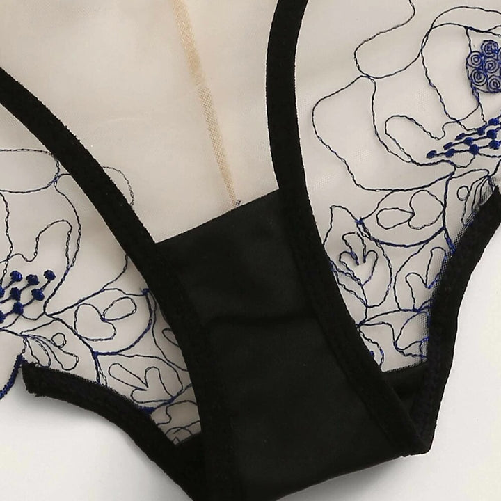 Set di lingerie trasparente