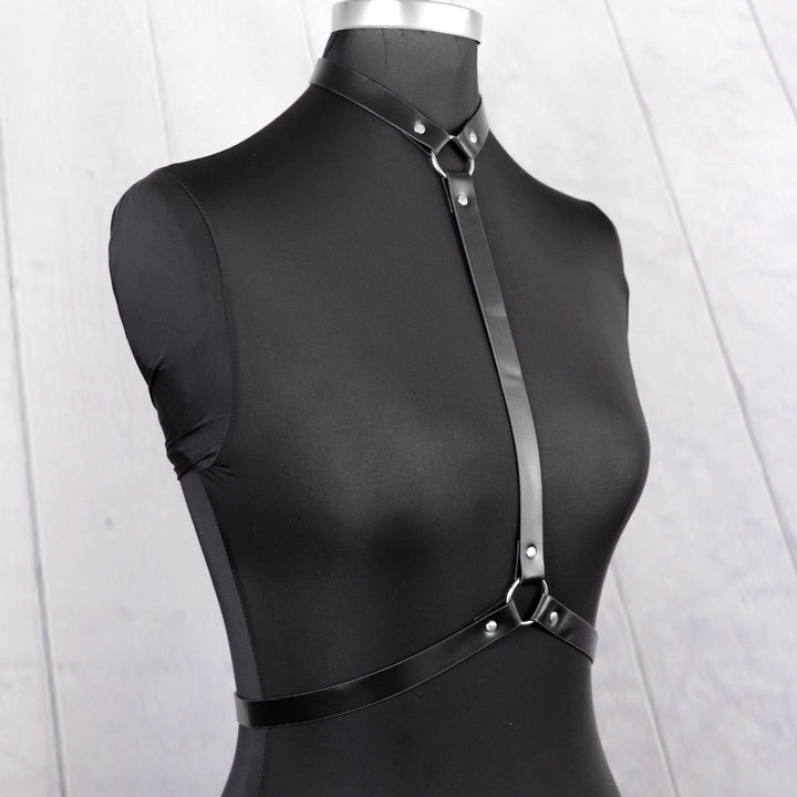 Harness