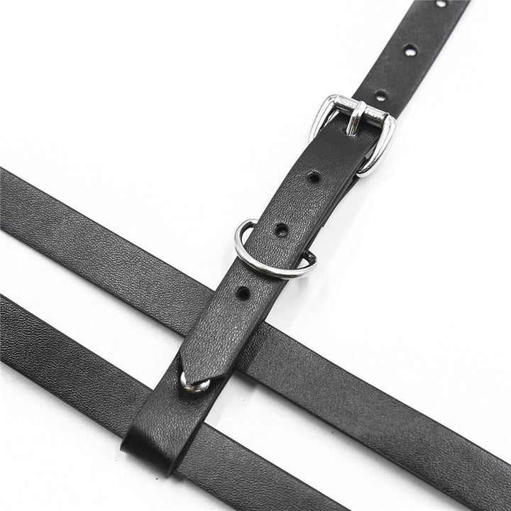 Harness