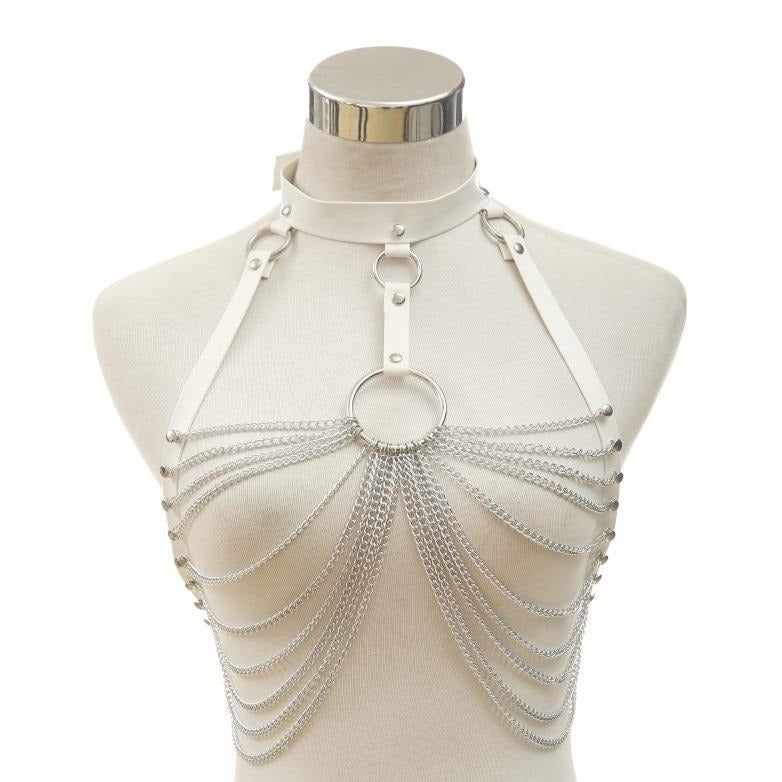Harness