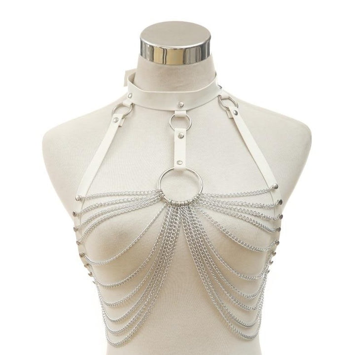 Harness